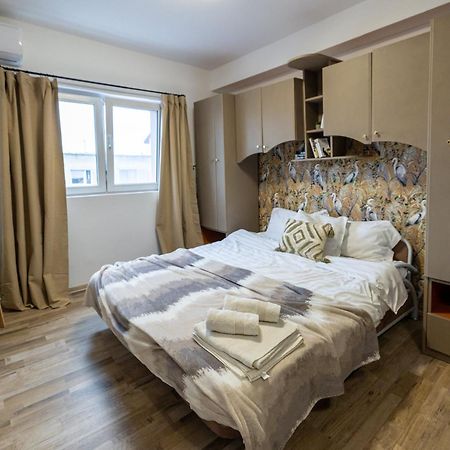 Cozy Studio Retreat - Quiet, Premium Stay Timişoara Buitenkant foto